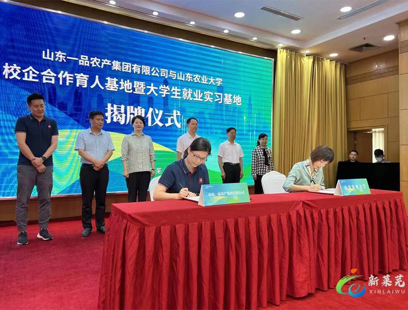 Zusammenarbeit zwischen Hochschule und Unternehmen